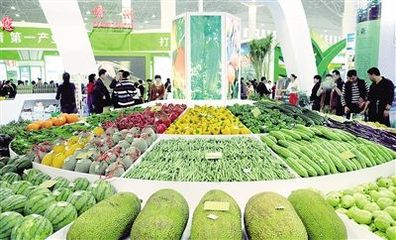 海南冬季瓜菜丰收再滞销 “订单农业”遭遇履约难题