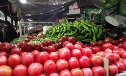 速看 乌鲁木齐市蔬菜价格有新变化